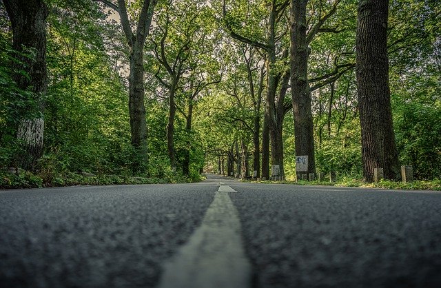 Koniec przebudowy ulicy Słonecznej i Botanicznej