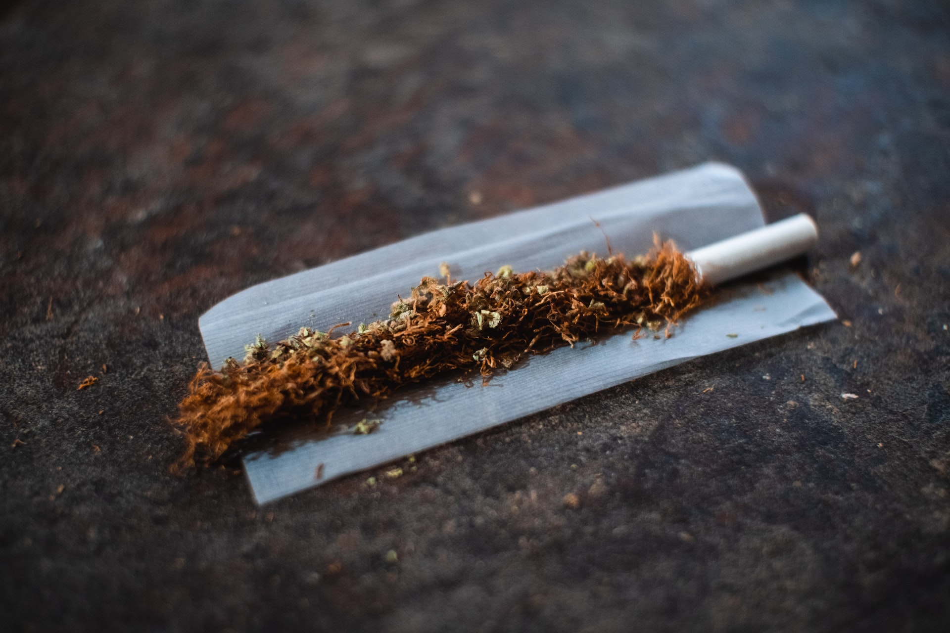 Nielegalny tytoń na prywatnej działce w Sieradzu. Wartość przekracza 9 milionów złotych!